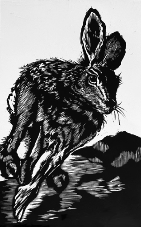 Fast (Aesop's Hare)
[Woodcut 13x18"]
available